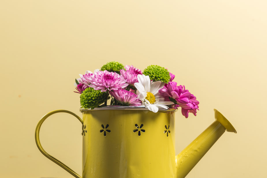 Regador amarelo